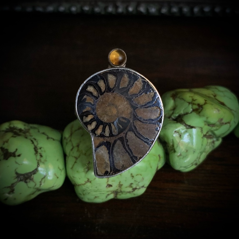 Vintage Ammonite Amber Echo of the Dreamer Sterling Silver Ring